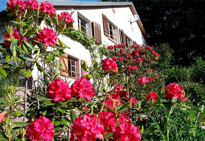 PtitMonde: for a warm and relaxed stay!
At PtitMonde you can spend the night in the bed &amp; breakfast, a gîte or at the mini campsite in the middle of the nature of the High Vosges (France).
adults-only-guide.com/ptitmonde.html