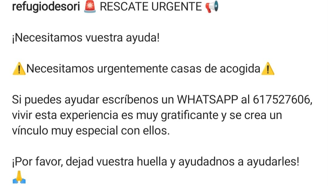 🆘🆘🆘🆘📢📢📢📢🙏🙏🙏