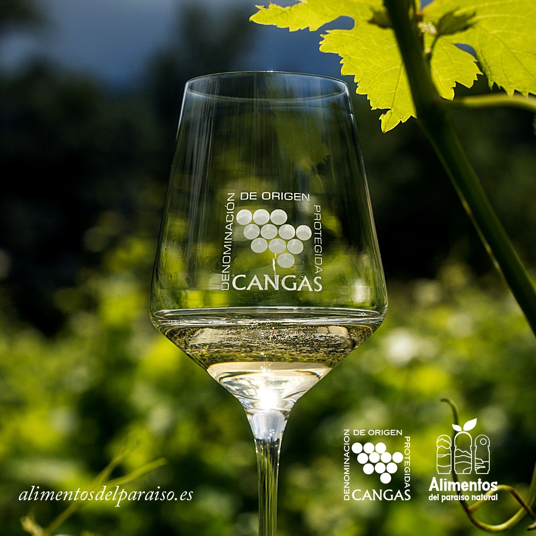 Asturias presente en #BarcelonaWineWeek de la mano de @dopcangas 🍷 

Demostrando el valor de las bodegas asturianas 🍇

#AlimentosDelParaiso #AsturiasParaisoNatural #DOCangas #WineLovers #BWW