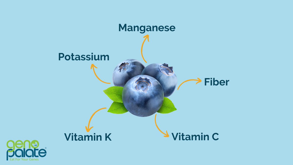 Did you know that blueberries are among the most nutrient-dense berries and top antioxidant foods?