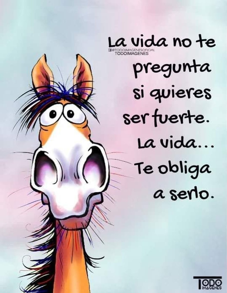 Sandylu Carrillo (@carrillosandylu) on Twitter photo 