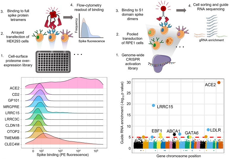 Jarrod Shilts tweet media