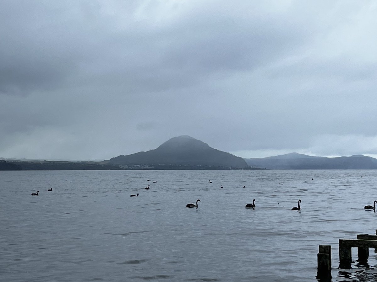 OxfordTephra's tweet photo. Feeling sad our field-trip around Taupō is finished. An epic finale to #IAVCEI2023 … thanks for having us NZ! ✈️😍🌋 #tephratastic https://t.co/bZSuuk2urK