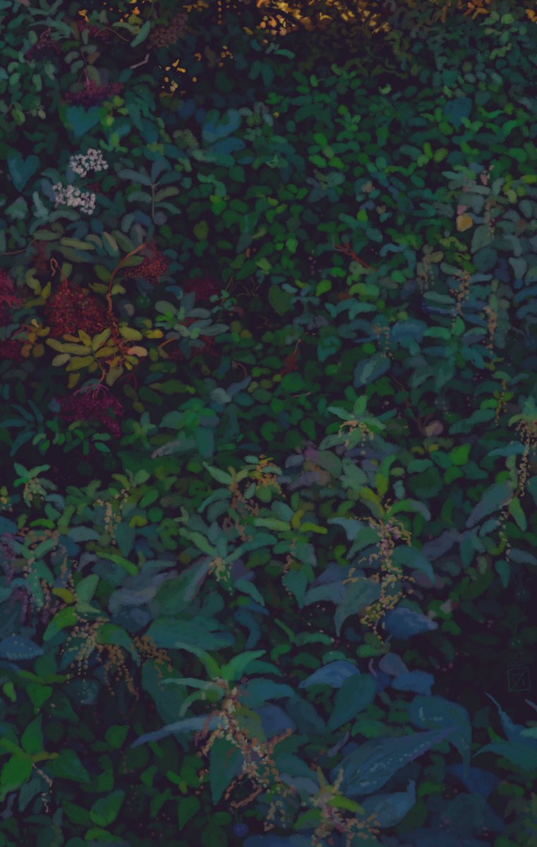 Nettles and Elderberries