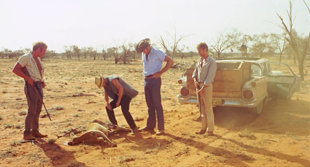 prince_salina's tweet image. WAKE IN FRIGHT is the truest depiction of the Australian outback as it should be: masculine, pint-guzzling Englishmen and degenerates, Abo-wives, intellectuals led astray by the bottle, gay rape, and kangaroo hunting. What’s not to love?