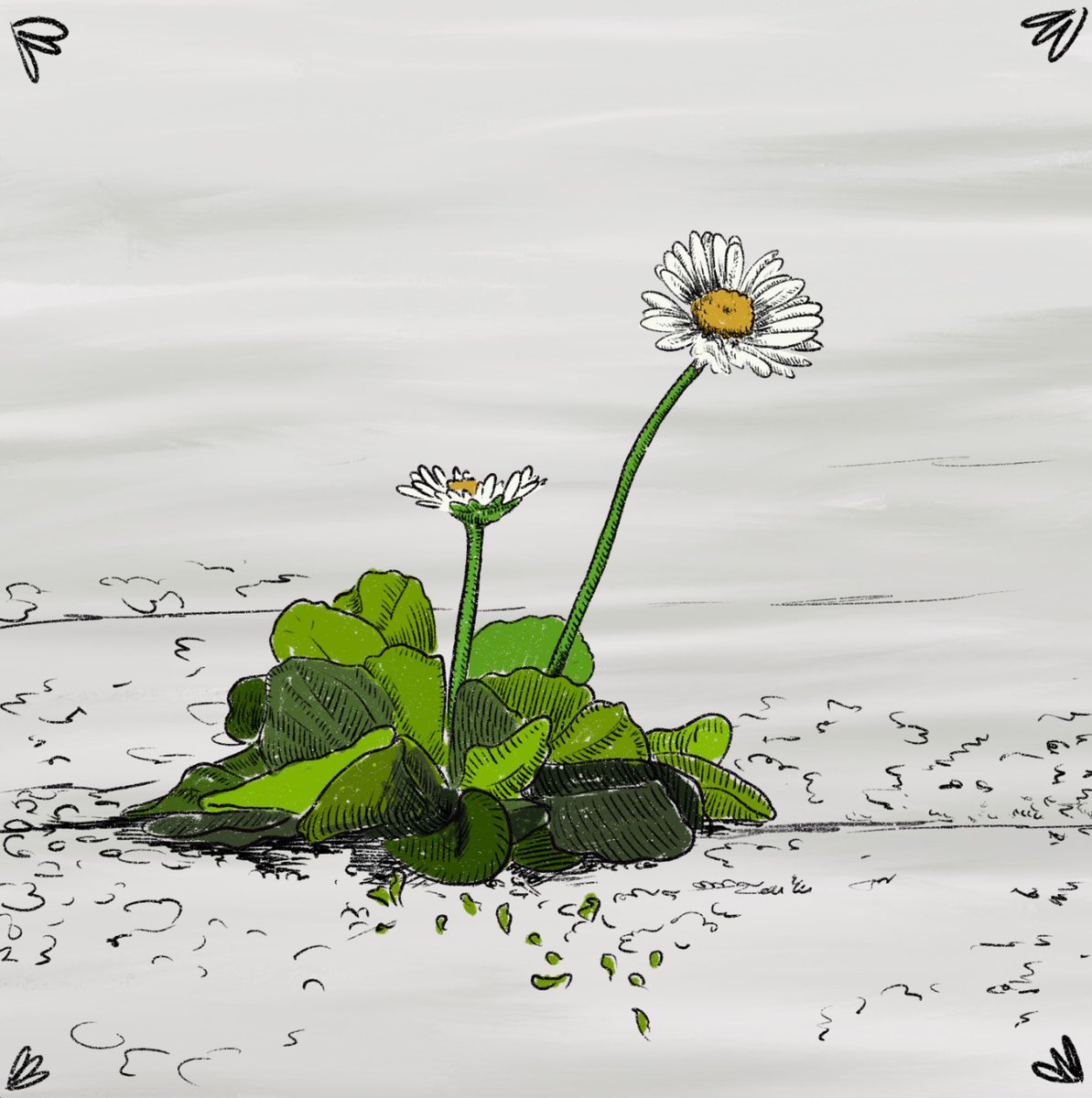SylviePixel (@pixelsylvie) on Twitter photo 🇹🇷DONATION DROP FOR TURKEY ON <a href="/formfunction/">Formfunction</a> 🇹🇷
Hello all frends, sorry i couldn't be very active recently cuz we are on tough days in Turkey. And I won't able to be active couple of days.
If you wanna help Turkey on Solana, please check this work from <a href="/jacktheoneye/">jacktheoneye■</a> only 0.05 🇹🇷DONATION DROP FOR TURKEY ON <a href="/formfunction/">Formfunction</a> 🇹🇷
Hello all frends, sorry i couldn't be very active recently cuz we are on tough days in Turkey. And I won't able to be active couple of days.
If you wanna help Turkey on Solana, please check this work from <a href="/jacktheoneye/">jacktheoneye■</a> only 0.05
