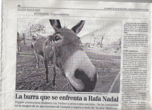 Rebuzzna's tweet image. Tal día como hoy hace 13 años saltaba la noticia en @elmundoes que daba pie al inicio de Rebuzzna Comunicación: "la burra que se enfrenta a Rafa Nadal".Eso se traducía a una campaña de marketing exitosa mundialmente que promocionaba la otra #Mallorca a través de la burrita Pepper