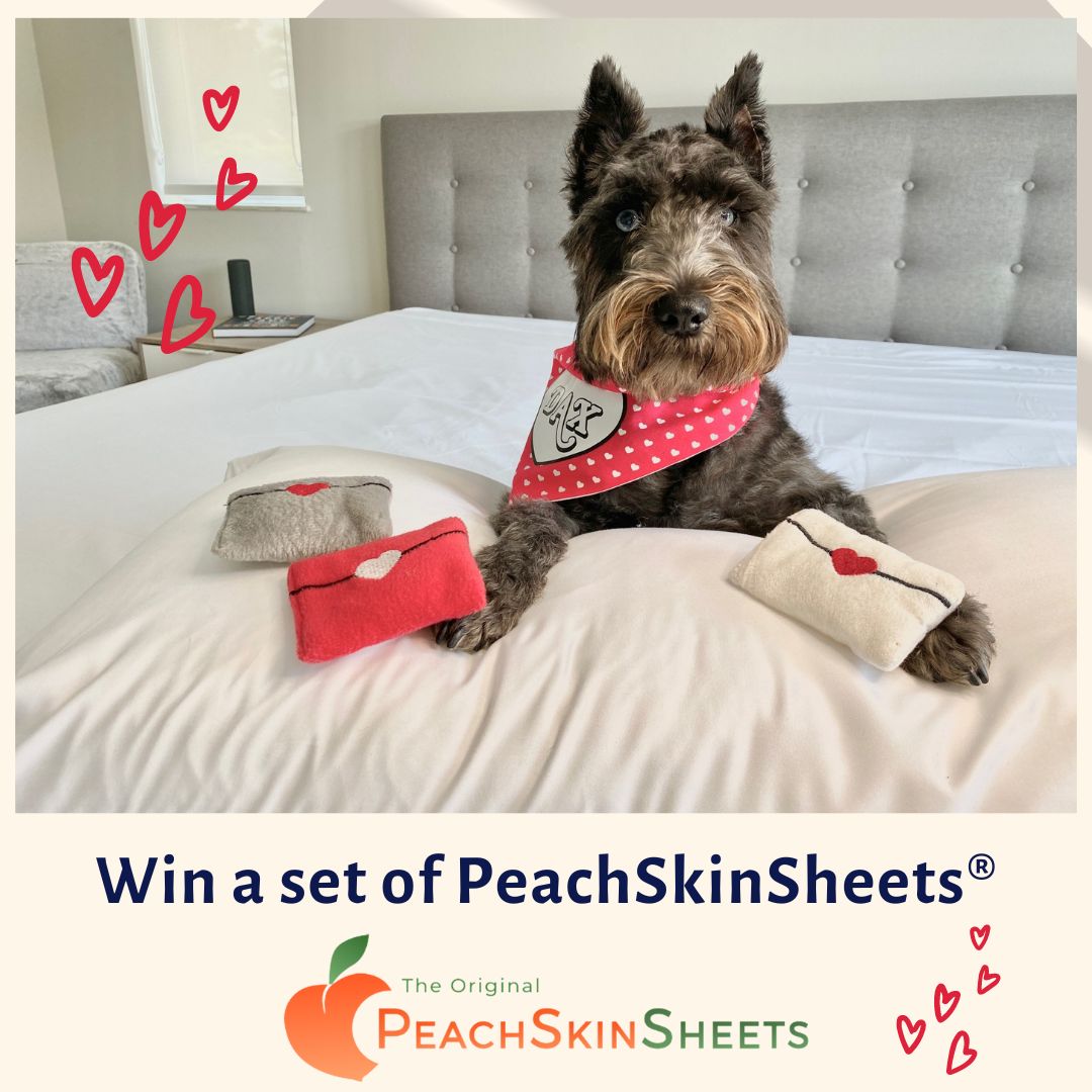 ladyboarder9669's tweet photo. RT! ENDS SOON!! #GIVEAWAY: ENTER TO #Win Super Comfy 1500 Thread Count PeachSkin Sheets for AMAZING Sleep #sheets #bedding #peachskin #contest #sweeps
@PeachSkinSheets
#highthreadcountsheets #luxurioussheets #luxuriousbedding #luxury #luxe https://t.co/f91ptXXeBH https://t.co/MS6nGoge44