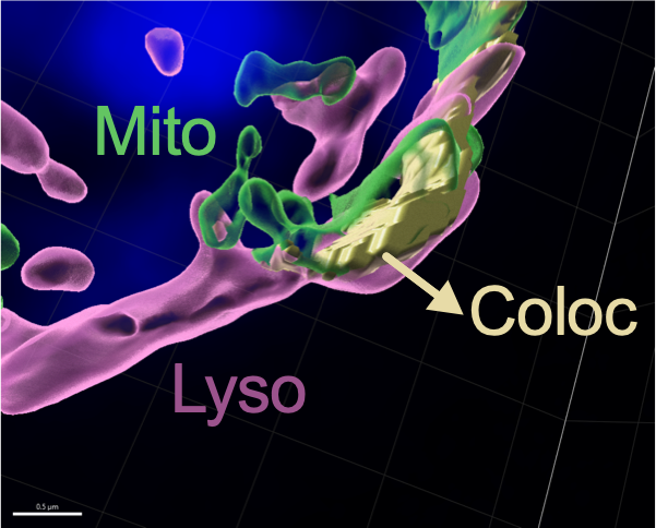 Yan Burelle tweet media