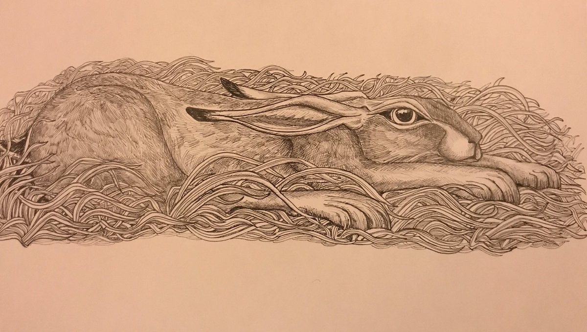 susiehammondart's tweet photo. Hunkered Down @susiehammondart #susiehammondillustration #inkpen #brownhare #suffolkartist #illustration #suffolkhare #boxinghare #artforsalesuffolk #artineastanglia #artexhibitionsuffolk # https://t.co/SubbZO4zE1