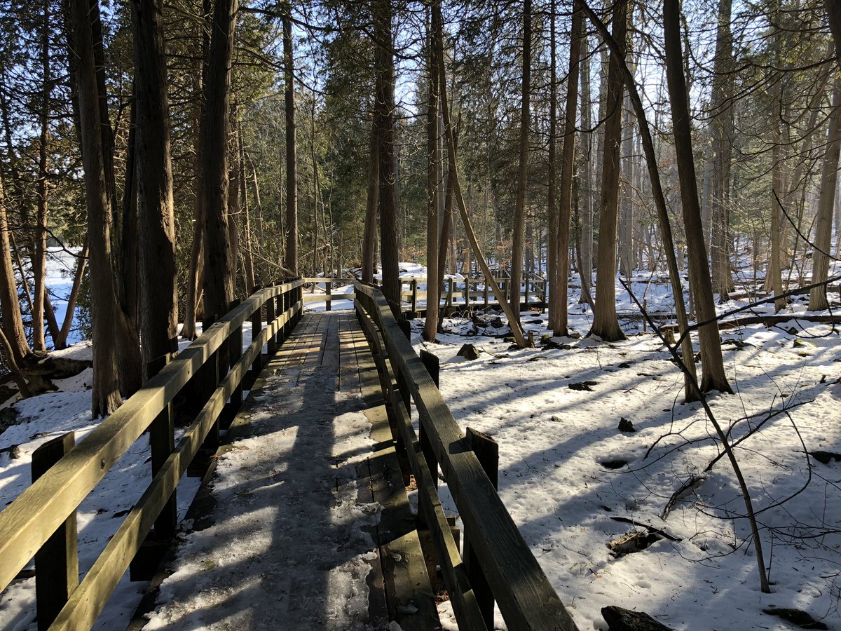 Careful out there! Trails at #CrawfordLake are very pretty, but also very slippery. Husband and I each took a tumble on our walk today. He fell on the Bruce Side Trail and I fell on the boardwalk. Crampons highly recommended! <a href="/ConservHalton/">Conservation Halton</a>