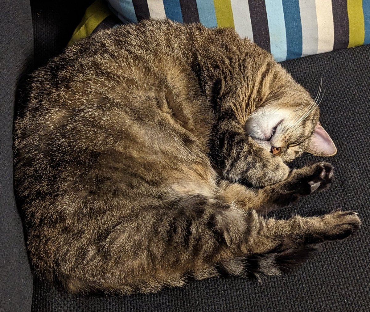 A.Ron Hubbard tweet media