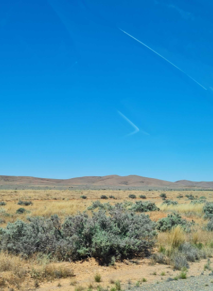 Dr Shakira Onwuka tweet media