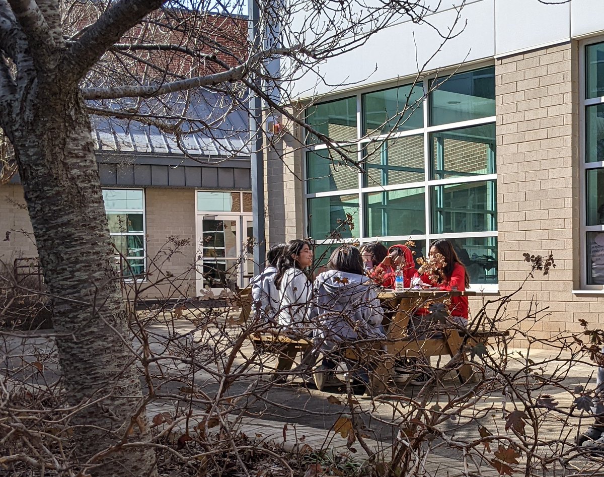 Ms Shearin's Class tweet media