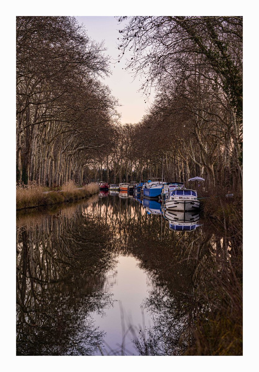 Paisible canal...
#Toulouse #canaldumidi
4 janvier 2023