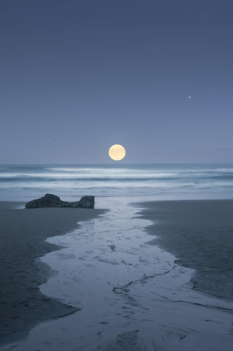 moonloverxjpg's tweet photo. amante de la luna https://t.co/SlBnm34LRL