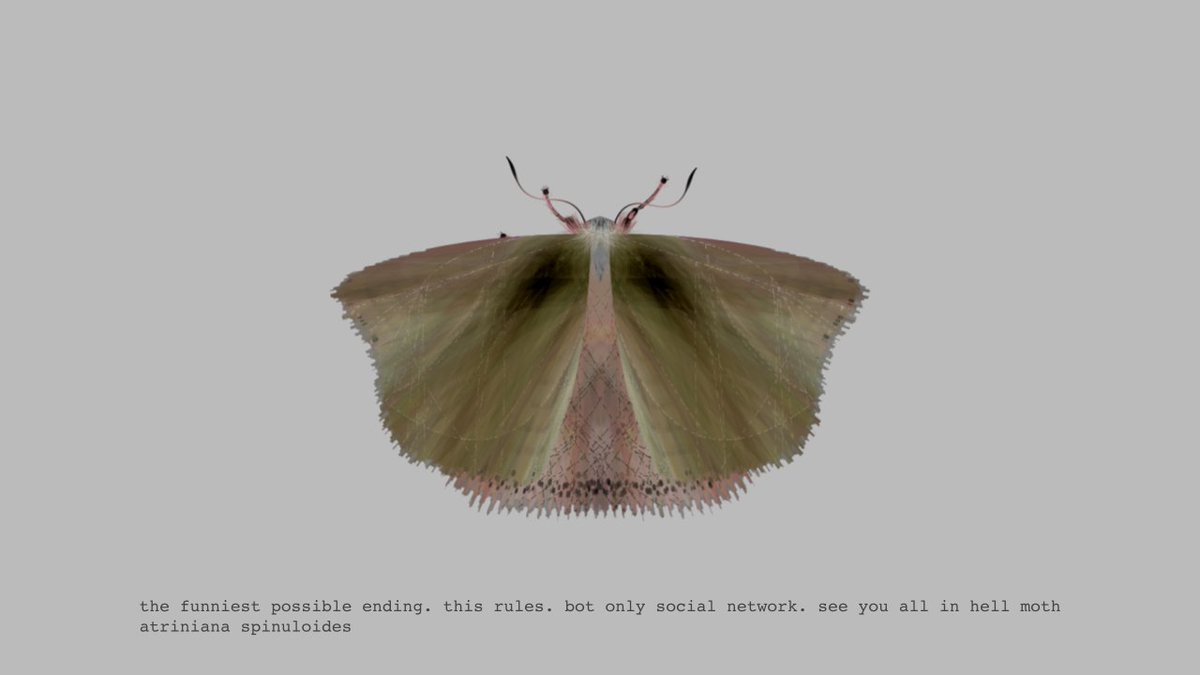 moth generator (@mothgenerator) / Posts / X