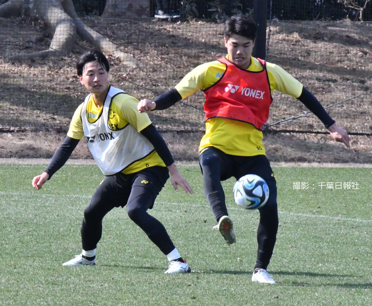 柏レイソルキャプテン古賀太陽選手サイン入りスパイク www.homeworkz.sg
