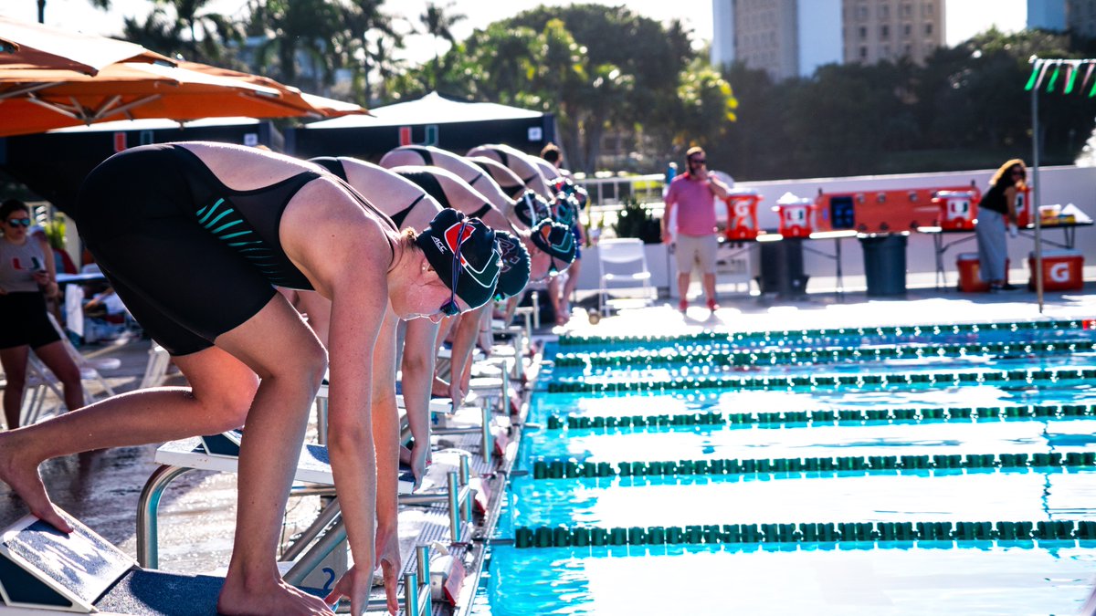 CanesSwimDive tweet picture