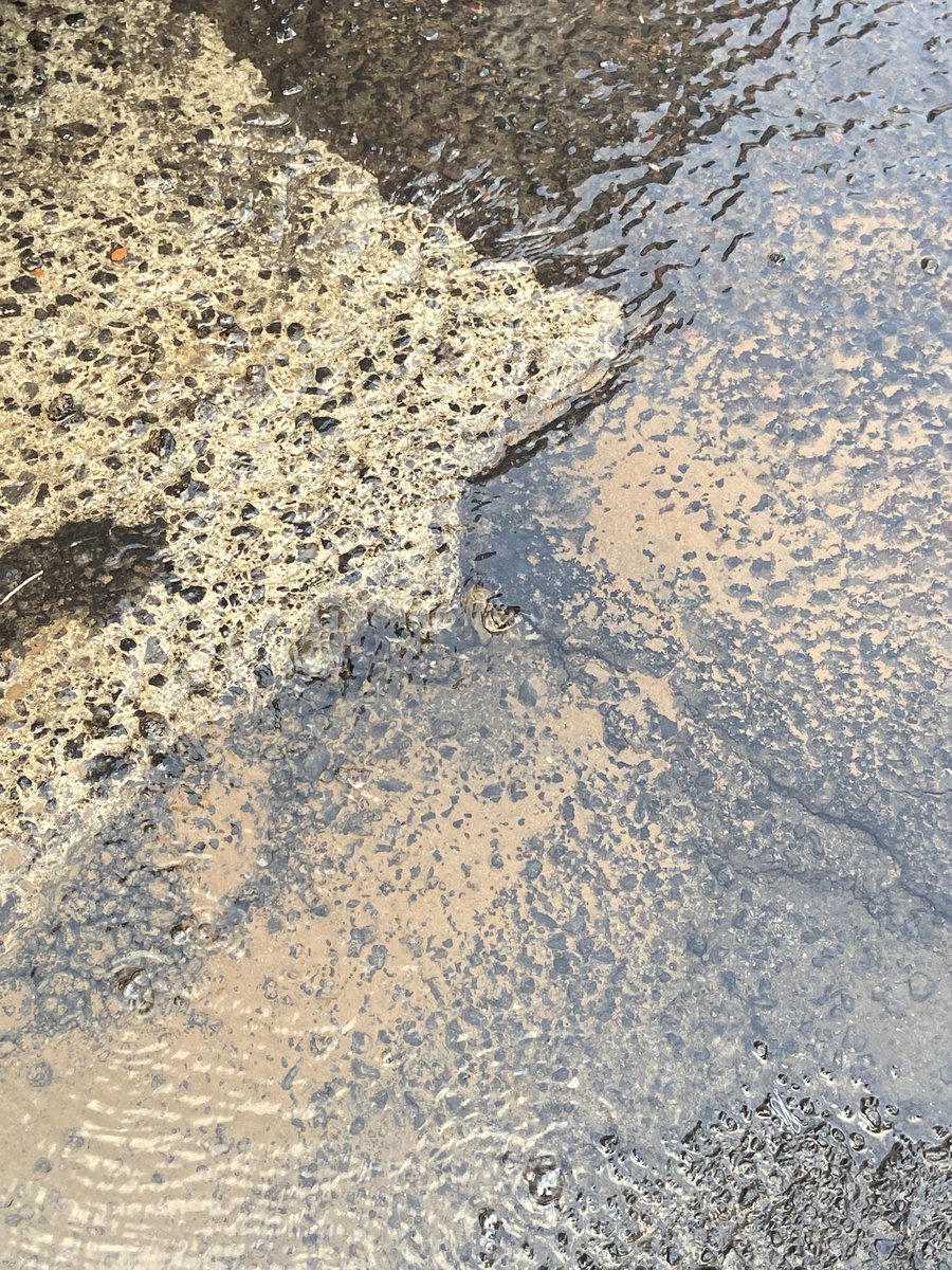 YSebas's tweet photo. Hay #FugaDeAgua en la CDMX por la carretera picacho #Ajusco en la calle de Encinos esquina con Anel Quezada, por el #HospitalGeneralAjusco. @SacmexCDMX @TlalpanAl @TlalpanVecinos @Claudiashein https://t.co/5BNS3eUYGM