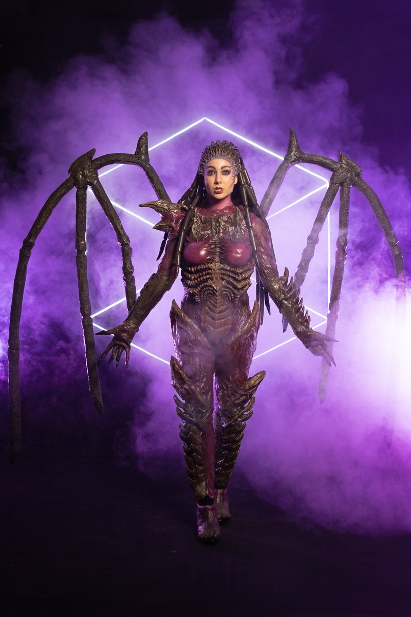 Lune Dark Wolf tweet media