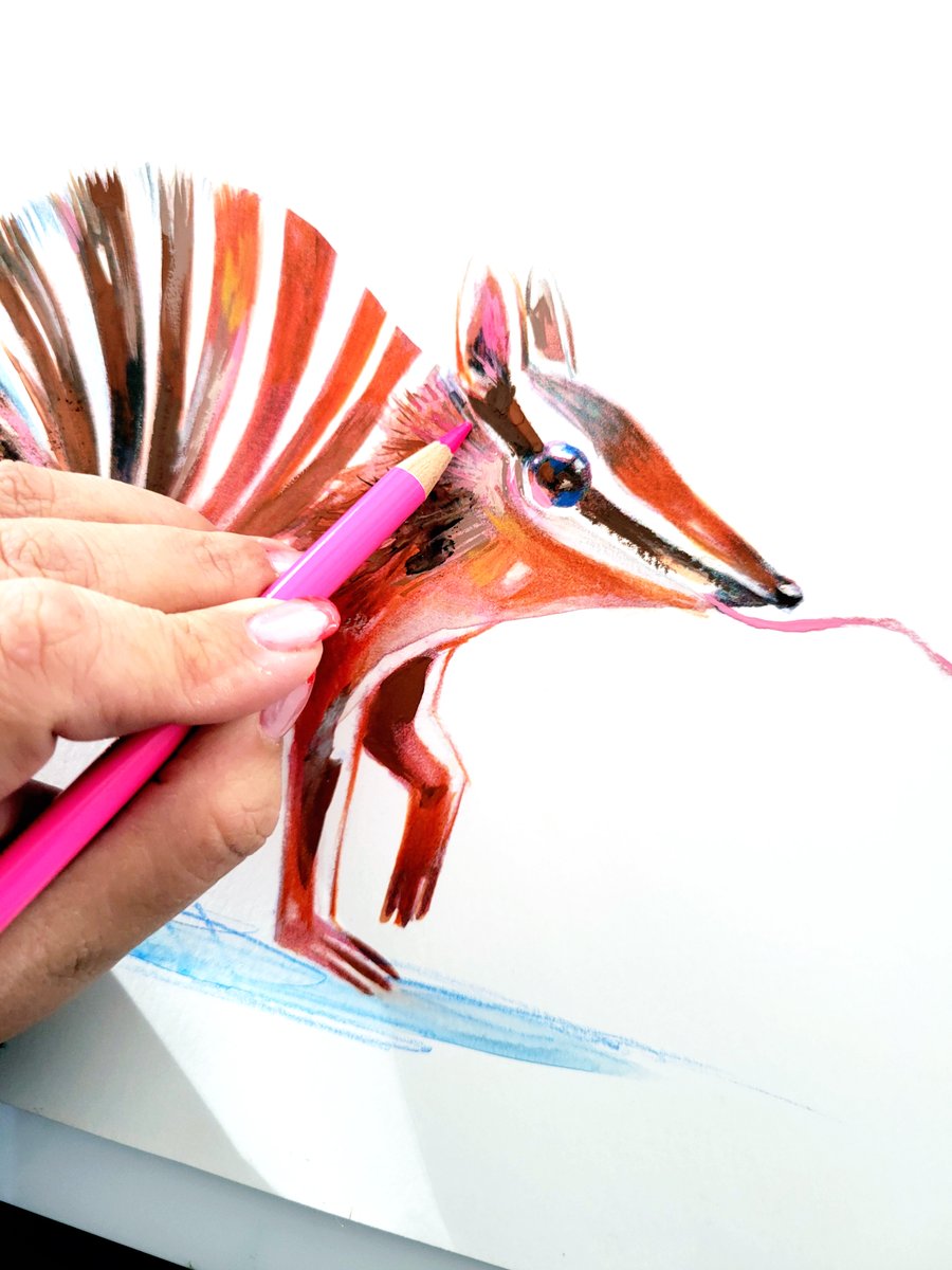 SheSureIs's tweet photo. Someone please hire me to draw numbats full-time, please &amp; thank you. #SCBWINY23 https://t.co/5mwyMaGedn