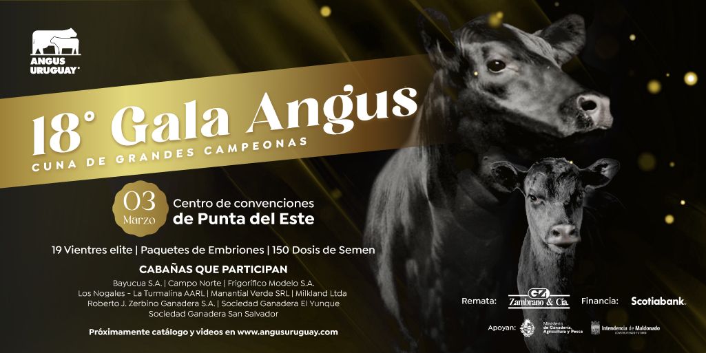 Reservá la fecha👉 3 de Marzo
𝟏𝟖° 𝐆𝐀𝐋𝐀 𝐀𝐍𝐆𝐔𝐒
Un clásico de LA RAZA
📍 <a href="/PuntaDelEsteCEC/">Centro de Convenciones Punta del Este</a> 
Remata @zambranocia
Financia @scotiabankuy
Cuna de Grandes Campeonas 🏅