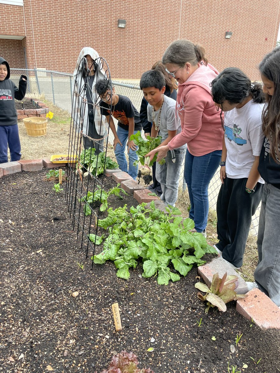 MrsZamudioo's tweet image. 100 days of making wonderful memories with our students @ms_santiago42 #KirkCan