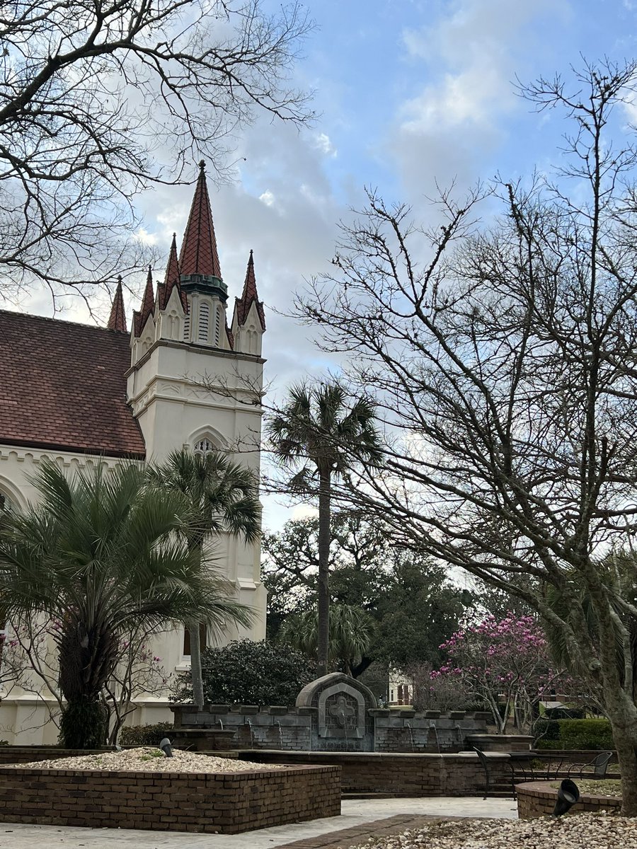 PaigeDannelley's tweet photo. Sometimes I work outside in the courtyard. It’s snowbird weather here @shillcollege. The Japanese tulip trees make me smile. And the light shining through the chapel windows is my favorite. It’s all stunning. #ComeTeach #ComeLearn https://t.co/meVlZEk2ei