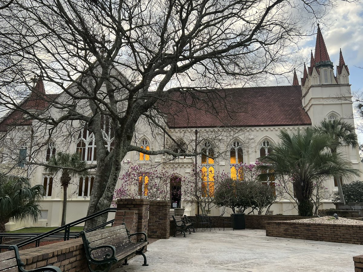 PaigeDannelley's tweet photo. Sometimes I work outside in the courtyard. It’s snowbird weather here @shillcollege. The Japanese tulip trees make me smile. And the light shining through the chapel windows is my favorite. It’s all stunning. #ComeTeach #ComeLearn https://t.co/meVlZEk2ei