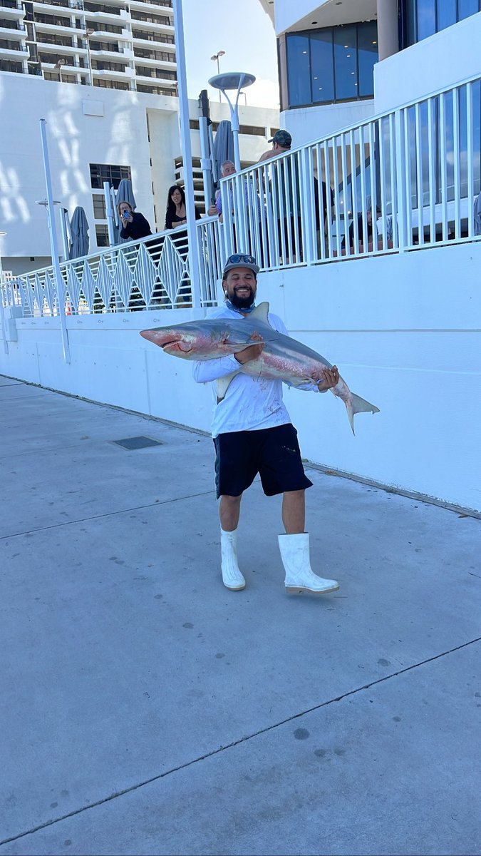 zekeberg's tweet photo. Never know what you’ll see on a walk down the st in Miami https://t.co/BDC3PUm71d