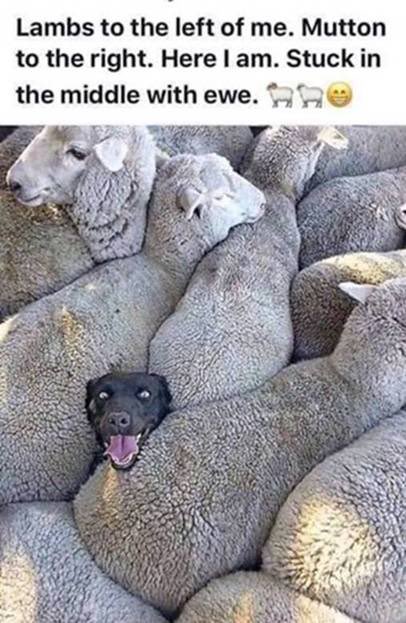 Ever get that stuck feeling?