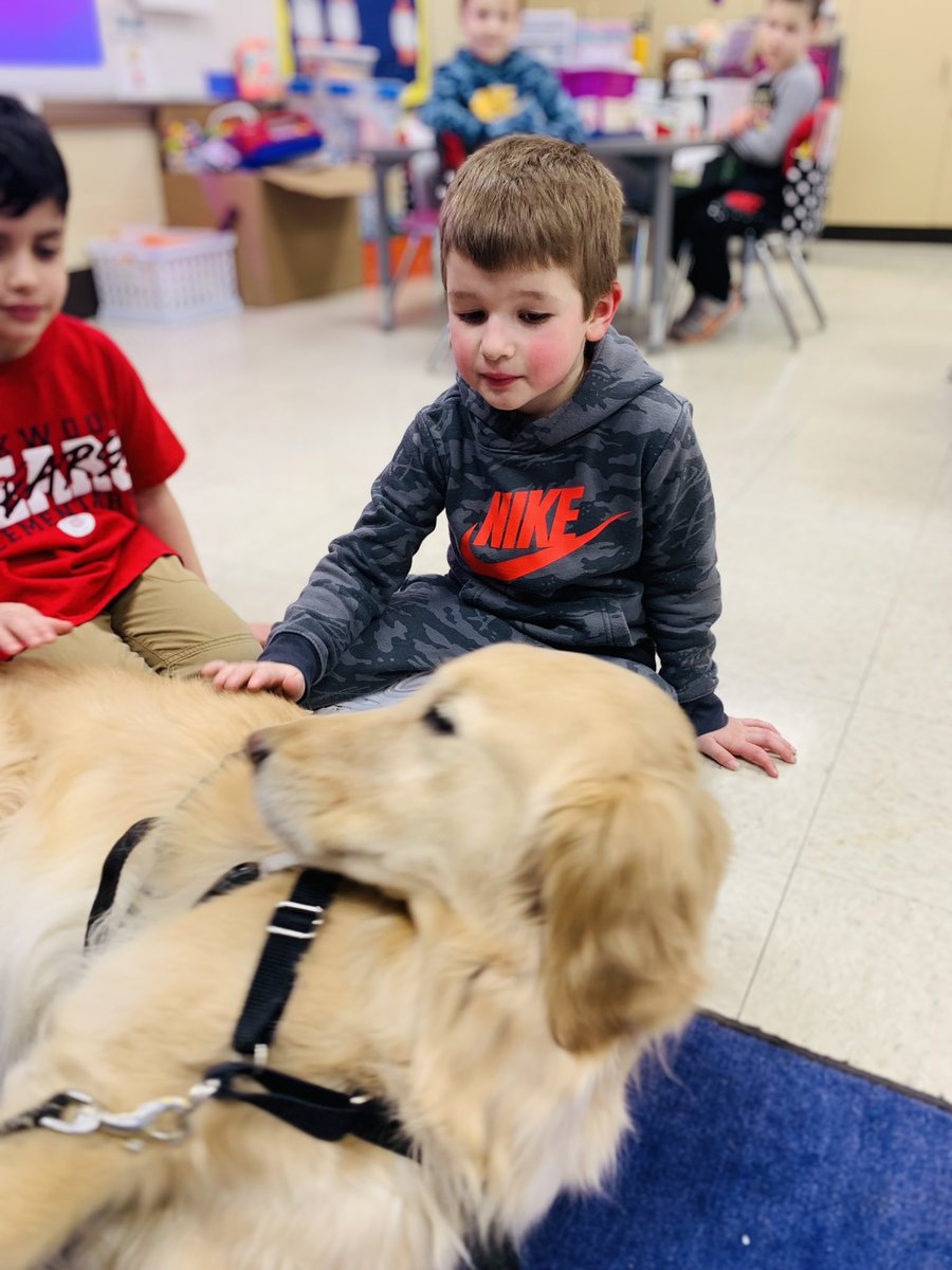 DesandreTaylor's tweet photo. Jeremiah Love ♥️🐾 #owbears #owstrong #sd113a #comfortdog https://t.co/HpA3uZDhB6