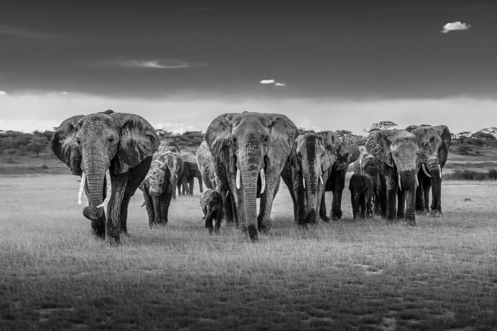 WebScaleDBA's tweet image. zcu.io/WzMm Optimizer index caching in PostgreSQL #PostgreSQL #PostgreSQLDBA #PostgreSQLIndex #PostgreSQLTroulbeshooting