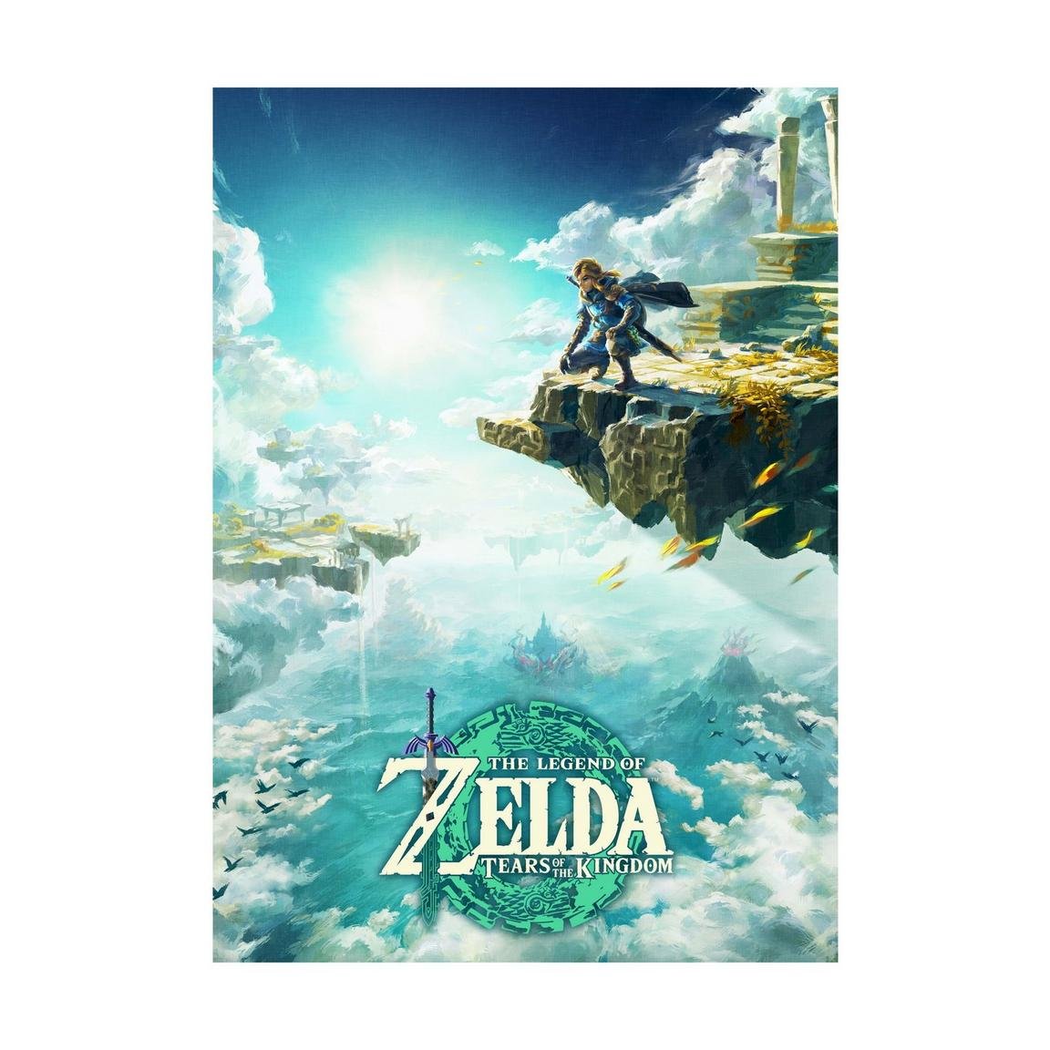 The Legend Of Zelda: Tears Of The Kingdom -Nintendo Switch 