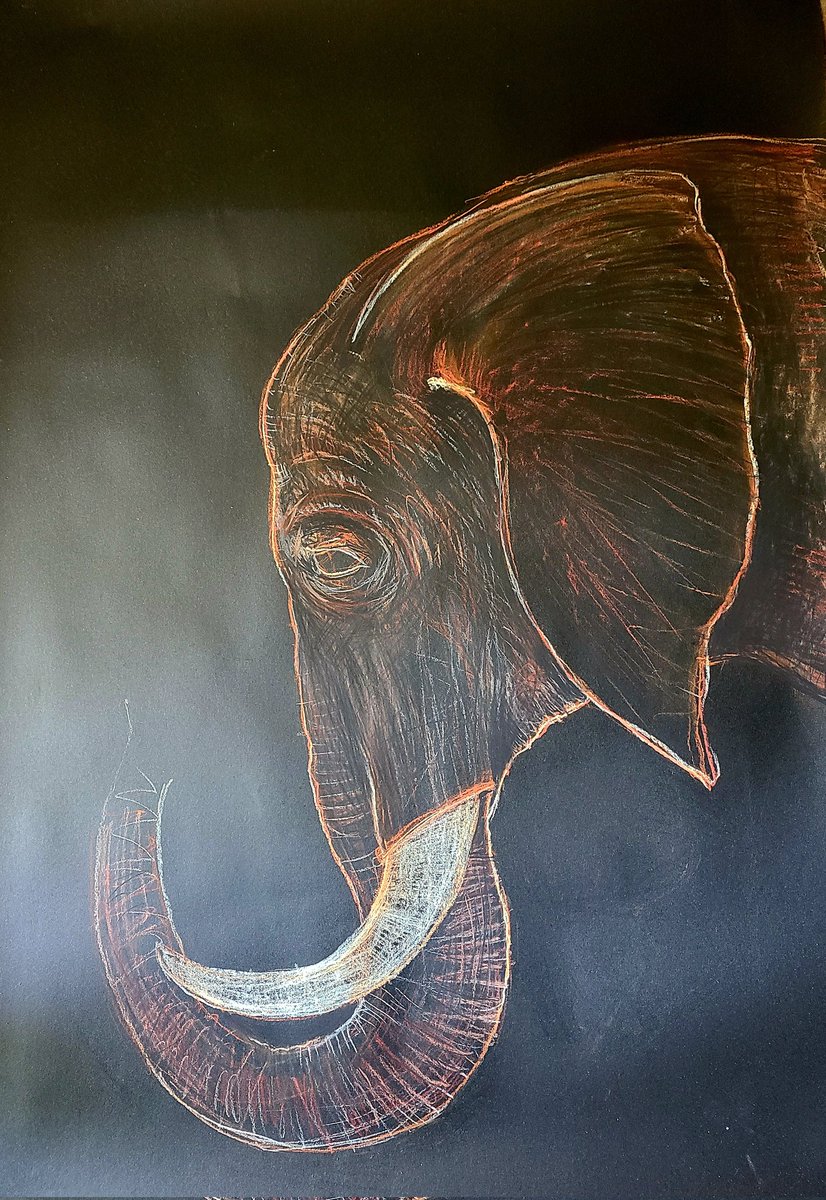 SandorGV's tweet photo. En proceso, colección "Animales" 2023
@galeriatranseuntes 
#sandorgonzalezvilar #galeriatranseuntes #animales #charcoal #NFT #nftcollector #drawing #elefante #artecubanocontemporaneo #cubanartist #cuba🇨🇺 https://t.co/PrYNIBA8g7