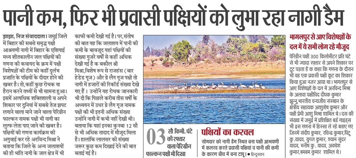 BirdsNagi's tweet image. दिनांक 03-06 फरवरी 2023 तक #जमुई में आयोजित एशियाई जल पक्षी गणना #AWC2023 की प्रकाशित कुछ प्रमुख सुर्खियां। 
@DEFCCOfficial @BSPCBOfficial @WetlandsInt @birdcountindia @BirdLife_News @vgds_dolphin @bhimbandh @sudhakarifs  @ifs_bharat @Team_eBird