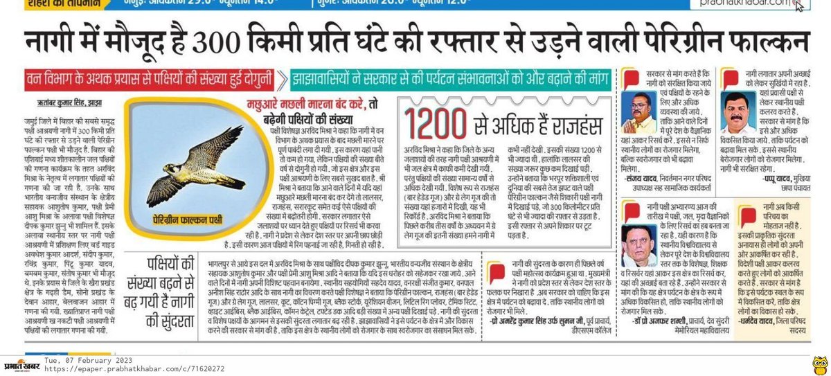 BirdsNagi's tweet image. दिनांक 03-06 फरवरी 2023 तक #जमुई में आयोजित एशियाई जल पक्षी गणना #AWC2023 की प्रकाशित कुछ प्रमुख सुर्खियां। 
@DEFCCOfficial @BSPCBOfficial @WetlandsInt @birdcountindia @BirdLife_News @vgds_dolphin @bhimbandh @sudhakarifs  @ifs_bharat @Team_eBird