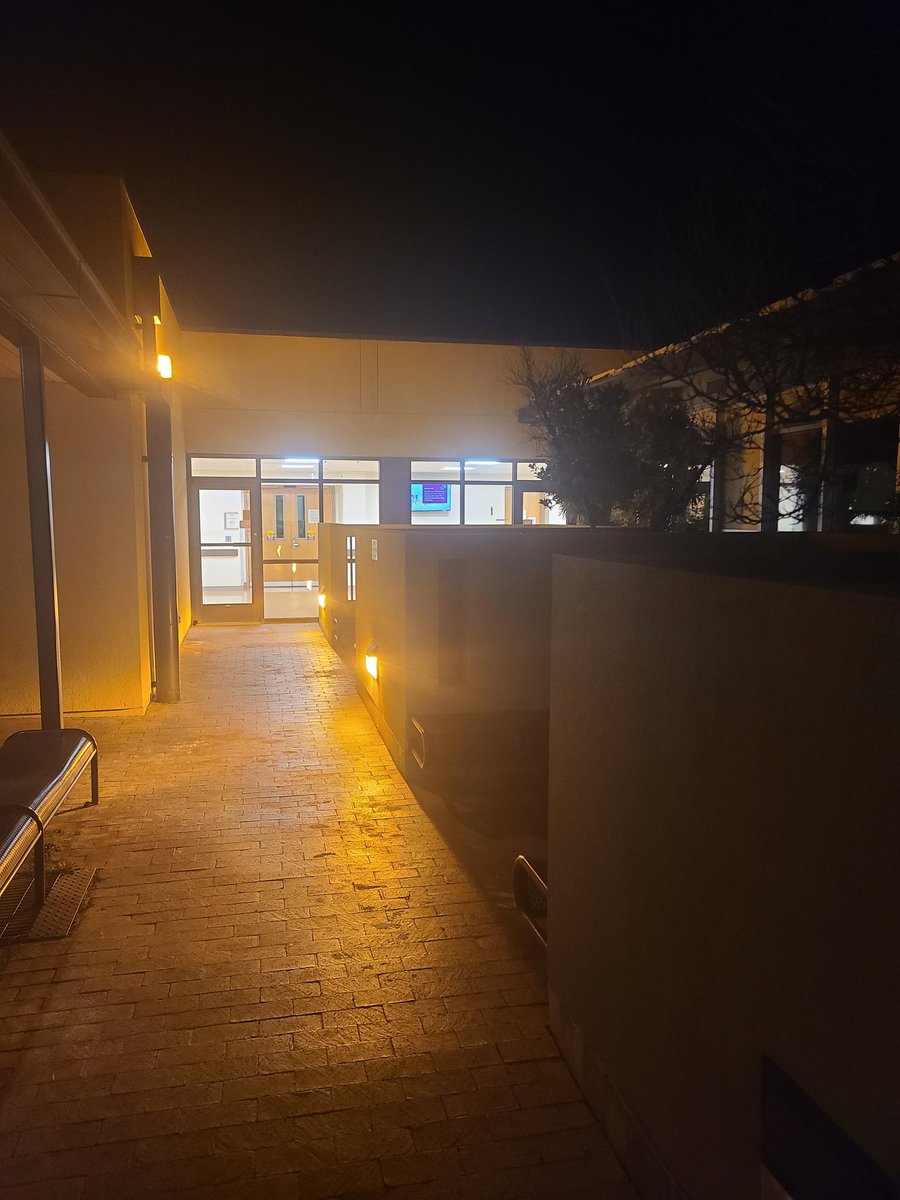 Solox_III tweet media