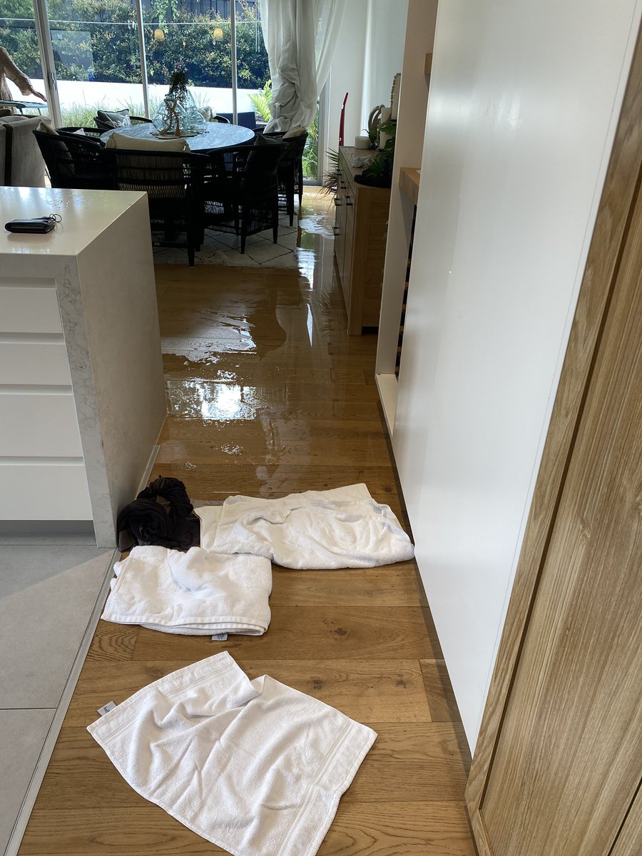 GoodguyCharlie's tweet image. my whole house is underwater, how’s your day going!!