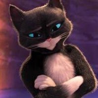 quillistic's tweet photo. if I had a nickel for every black and white female cat that got declawed with trust issues I’d have two nickels, which isn’t a lot but it’s weird it happened twice https://t.co/QuPe0nqYVJ