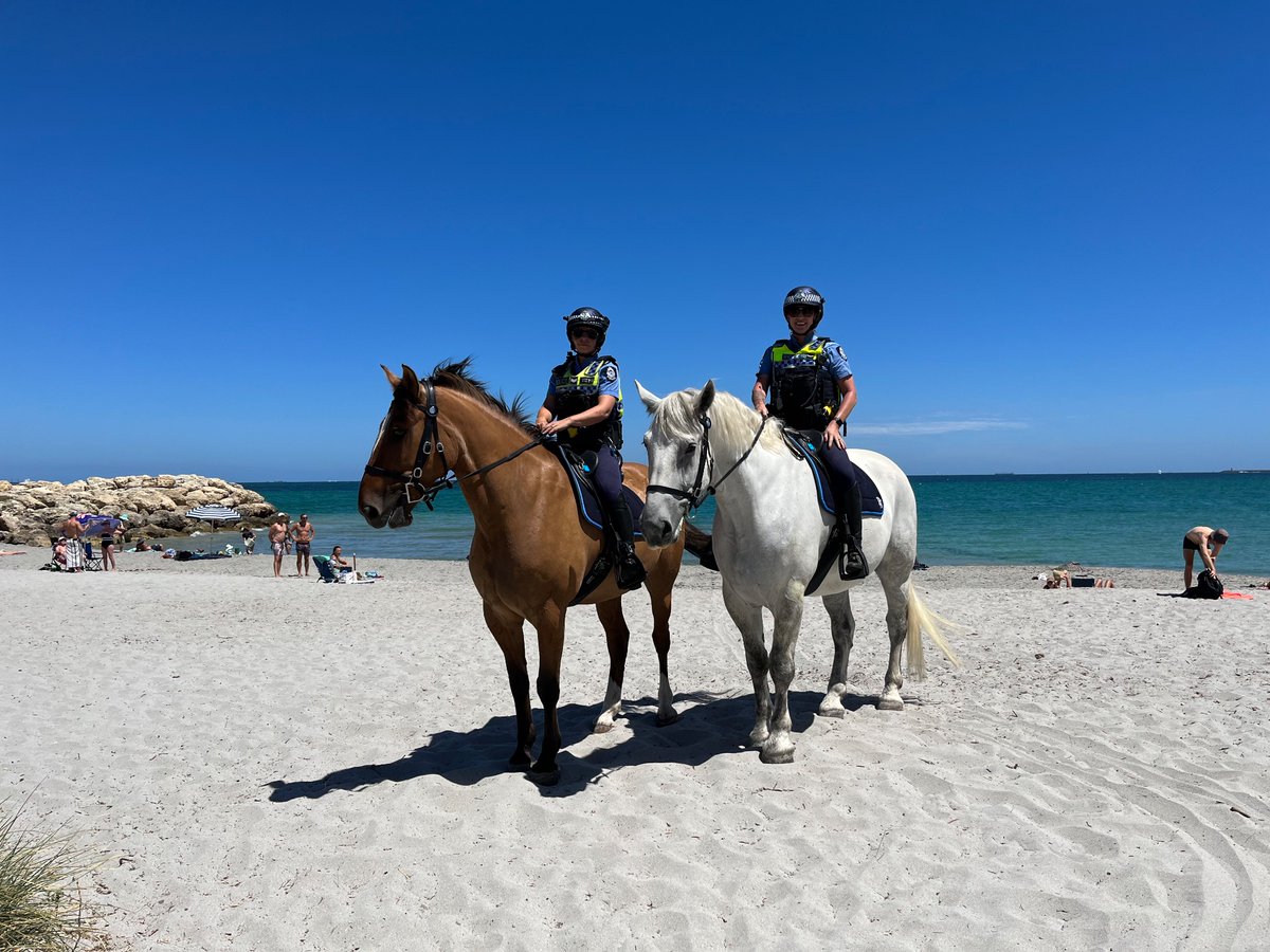 WA Police Force Mounted tweet media