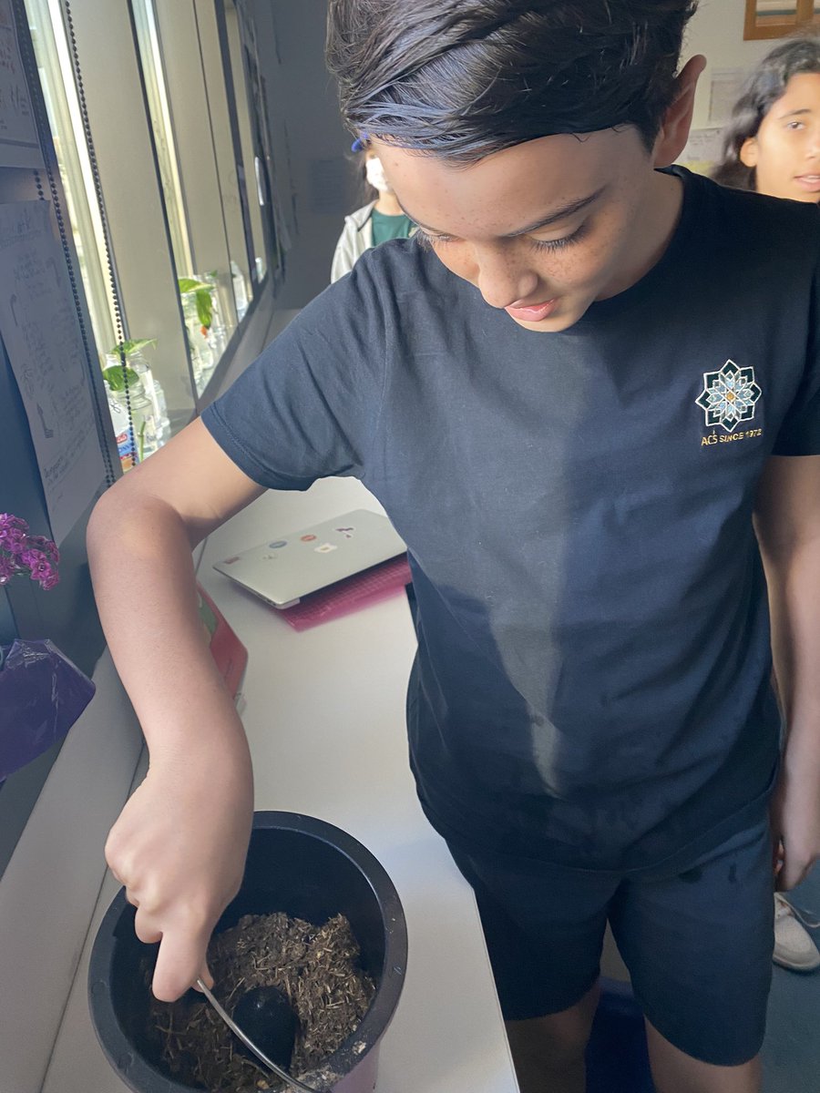 amy_mulv's tweet image. It worked!!! We have our first batch of soil from our composter this morning @acsabudhabi ! #teachsdgs #IamACS #inquirymindset #STEMeducation