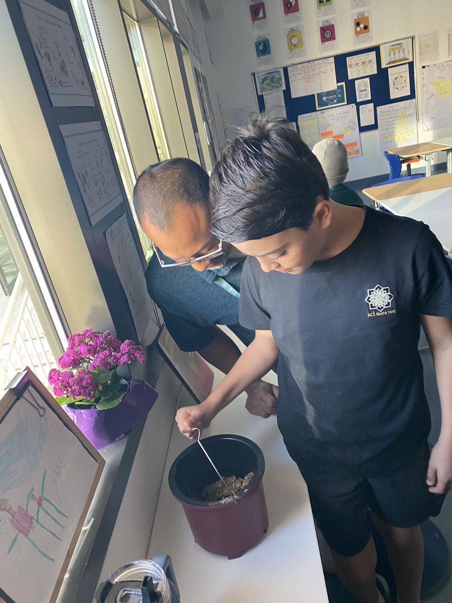 amy_mulv's tweet image. It worked!!! We have our first batch of soil from our composter this morning @acsabudhabi ! #teachsdgs #IamACS #inquirymindset #STEMeducation