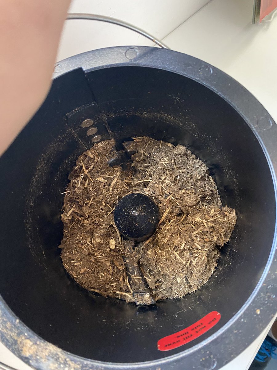 amy_mulv's tweet image. It worked!!! We have our first batch of soil from our composter this morning @acsabudhabi ! #teachsdgs #IamACS #inquirymindset #STEMeducation