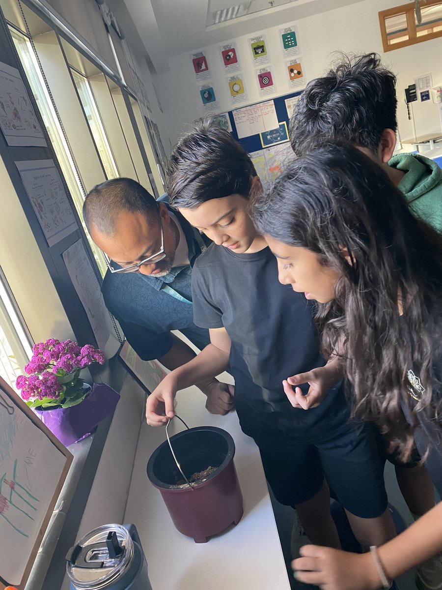 amy_mulv's tweet image. It worked!!! We have our first batch of soil from our composter this morning @acsabudhabi ! #teachsdgs #IamACS #inquirymindset #STEMeducation
