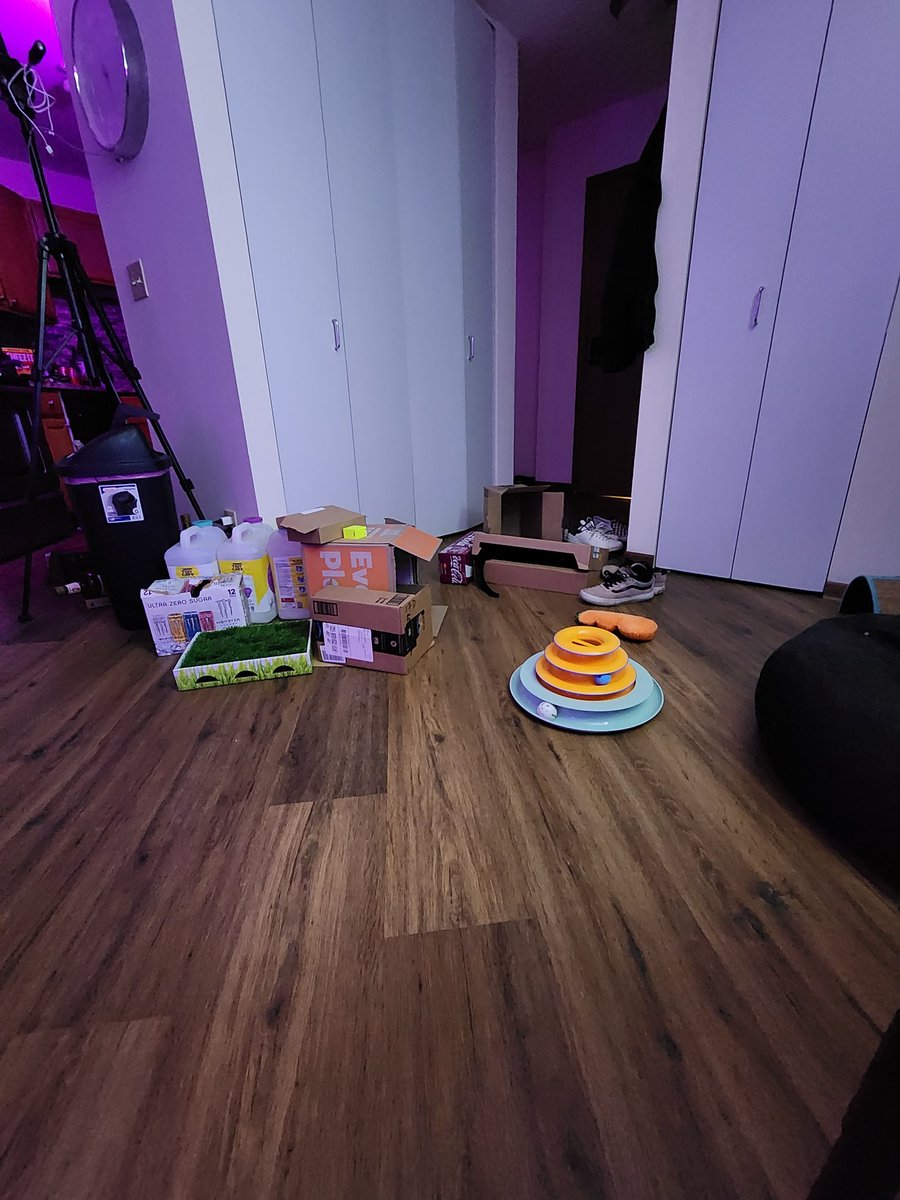 danesusername's tweet photo. let's play Spot the Cat! 😻 https://t.co/8gaQbnEIVw