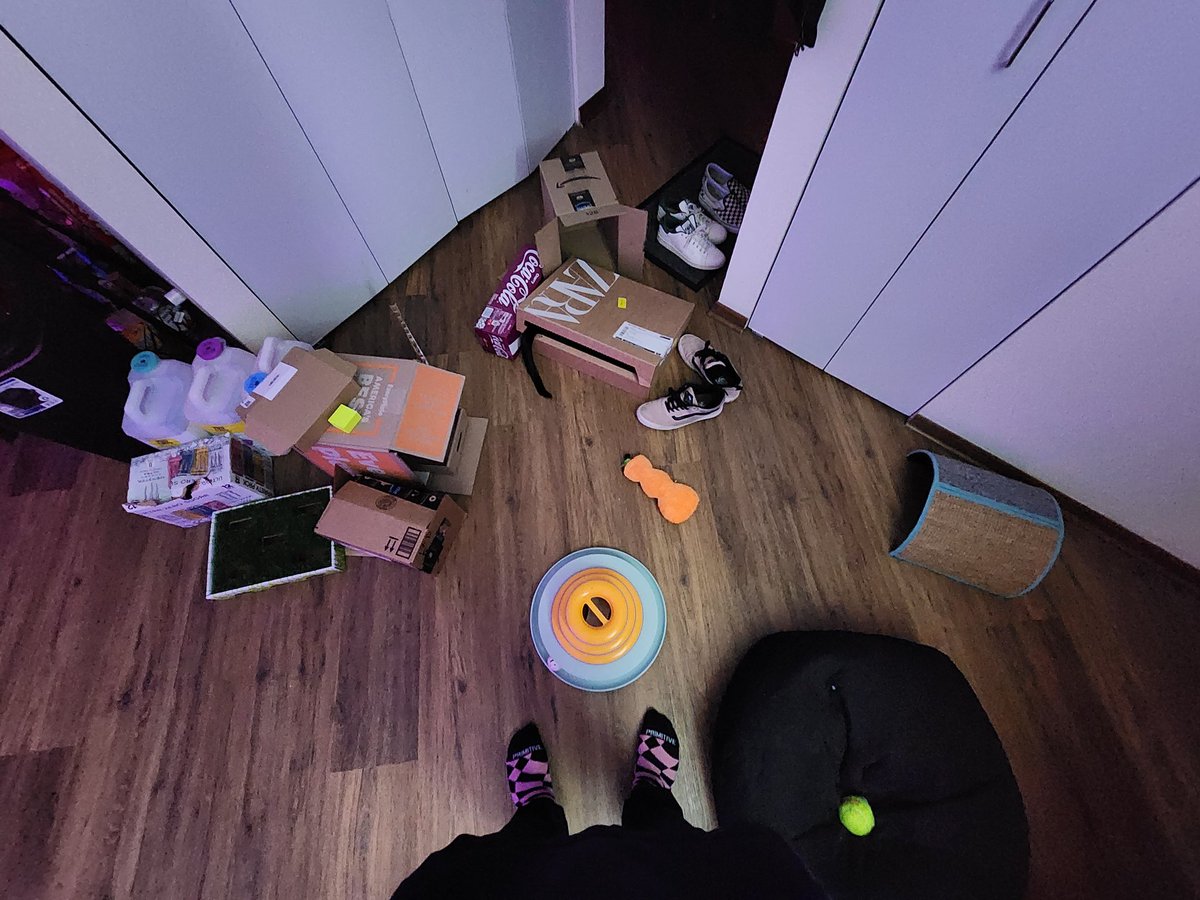 danesusername's tweet photo. let's play Spot the Cat! 😻 https://t.co/8gaQbnEIVw