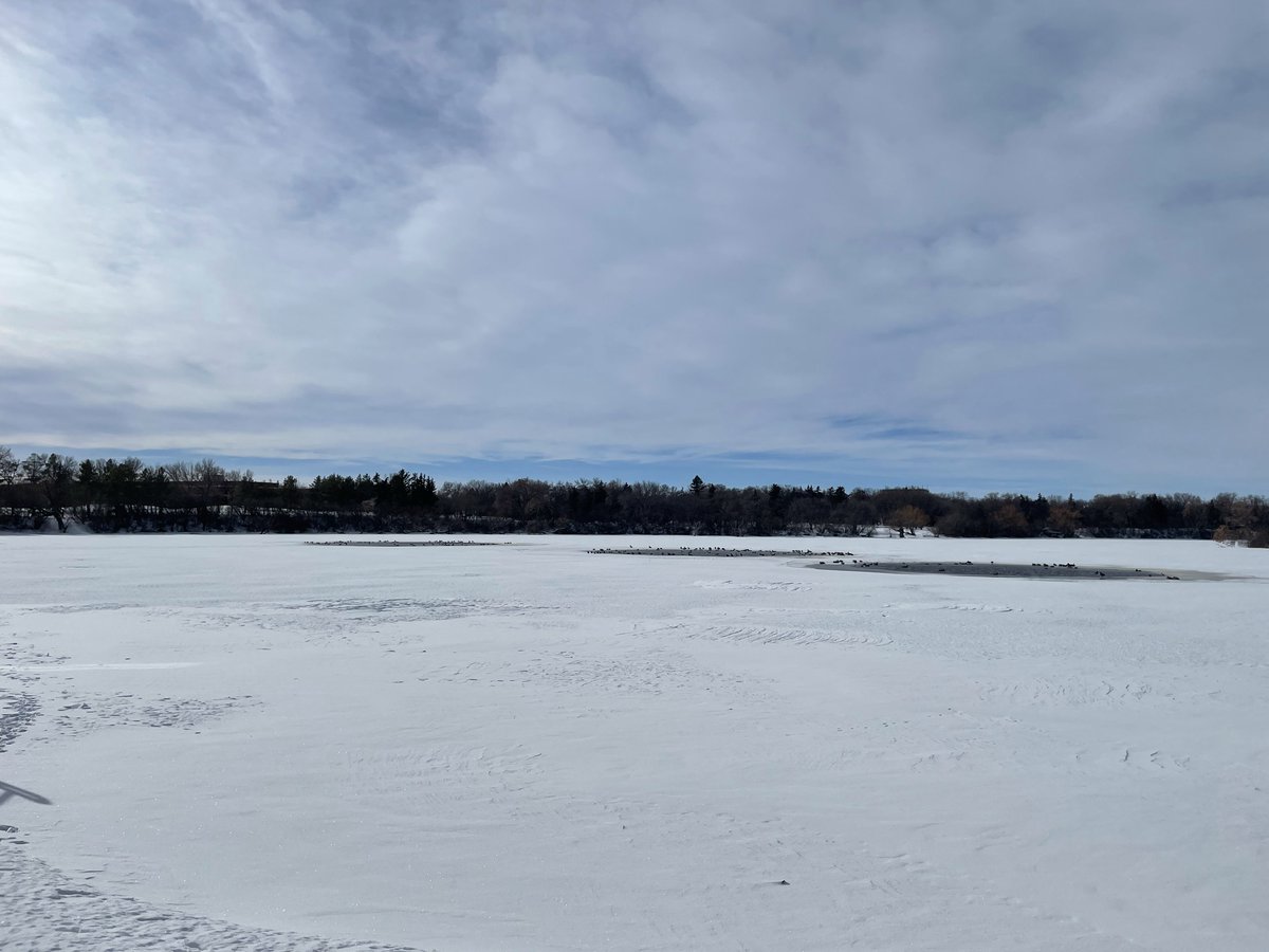 The ice begins to disappear, and Spring is on her way!