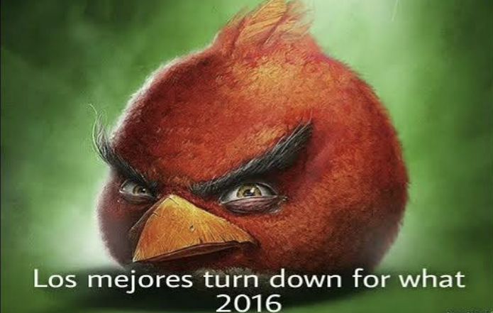 JoshFutt's tweet image. 